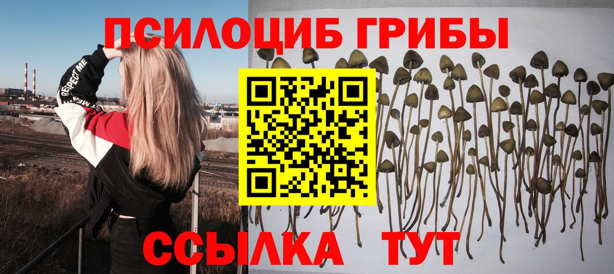Галлюциногенные грибы мухоморы  Псилоцибиновые грибы ЛСД  Серов  Вход с VPN 