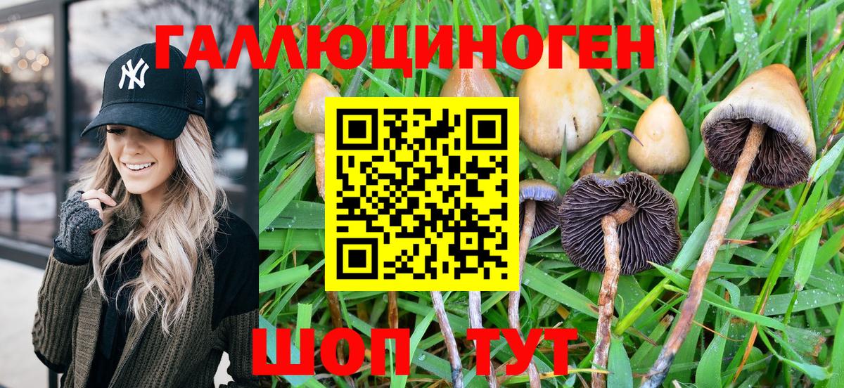 Галлюциногенные грибы MAGIC MUSHROOMS Серов