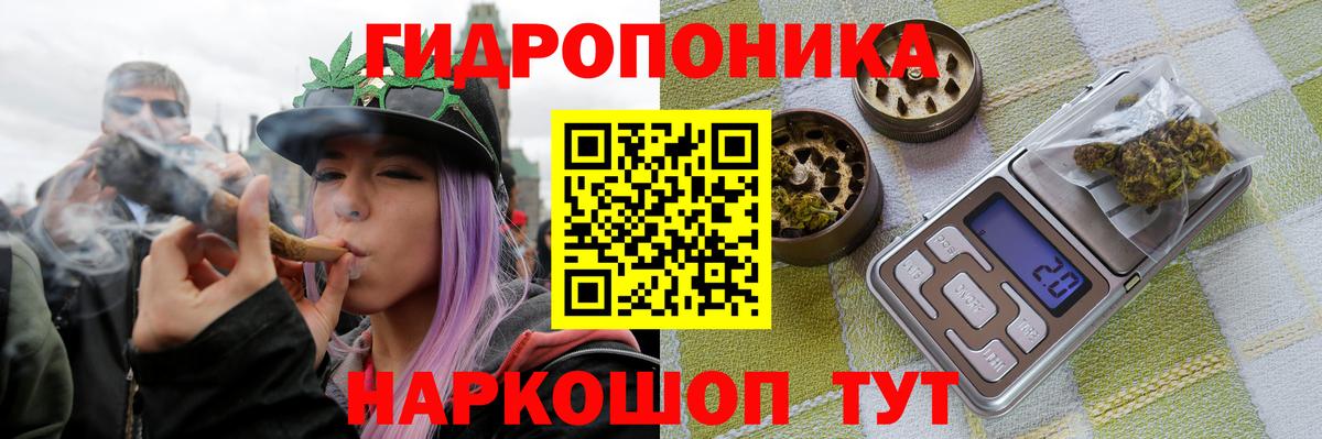 Шишки марихуана планчик Серов
